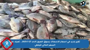 تغير جديد في أسعار الأسماك بسوق العبور الأحد 27-7-2025.. تعرف على السعر الحالي للبلطي